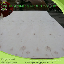 Linyi Qimeng Supply 3mm Poplar Plywood with Good Quality